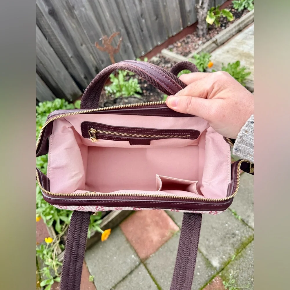 SOLD! Louis Vuitton Mini Lin Josephine Cherry bag. 🍒 - Picture 7 of 12